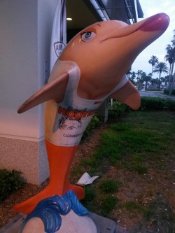 shwit:  gwess:  Take me down to the Clearwater City Where the beach is clean And the dolphin got titties  