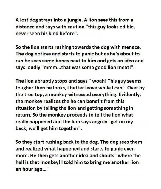 srsfunny:  Now That Is One Smart Dog 