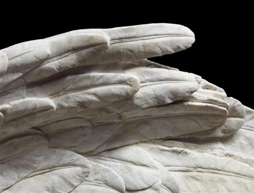 Detail of the left wing of the Victory of Samothrace, 2nd to 3rd C. BCParis, musée du Louvre