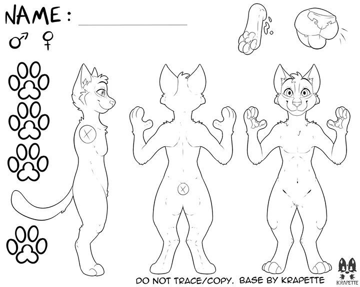 images Reference Sheet Furry Dog Base ask knockout reference sheet feline