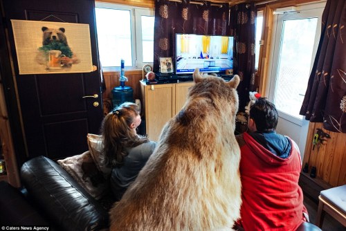 Russians, Svetlana and Yuriy Panteleenko adopted Stepan, a 7ft tall and 300lb bear and have domestic