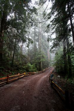 bluepueblo:  Forest Road, Vancouver, British Columbia, Canada photo via leave 