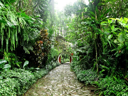 venus-garden:  Castillo Edward James (Las Pozas, Xilitla)  ❁❁ Calm and relaxing jungle blog ❁❁