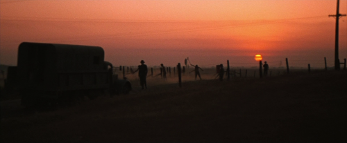 “Nah, calling it your job don’t make it right, Boss.”Cool Hand Luke, 1967Directed by Stuart Ro