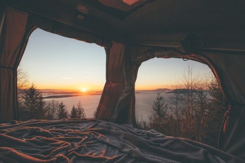 Indie, Hipster, Grunge, Boho, Vintage, Quotes, Words, Gif, Art