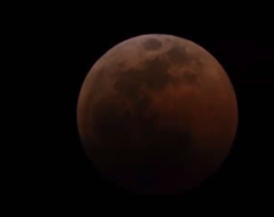 cosmiteofficial:  total lunar eclipse is so beautiful~