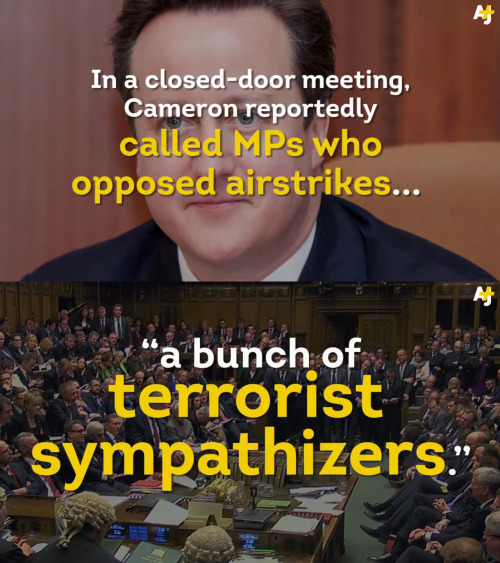 from-palestine:    Governments starting wars for “the good of the people” while a majority are against it. “Trying to kill terrorist while killing innocent civilians makes you a terrorist. You cannot make the loss of innocent lives just collateral