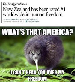 datcatwhatcameback:  queenlovett:  snakegrin:  feelinundertheweather:  indianbiatch:  slytherinstarkidwarbler:  slytherinstarkidwarbler:  This is legit. x  And x  New Zealand finally gets the spotlight  Apparently USA is only #7    I’m an American,