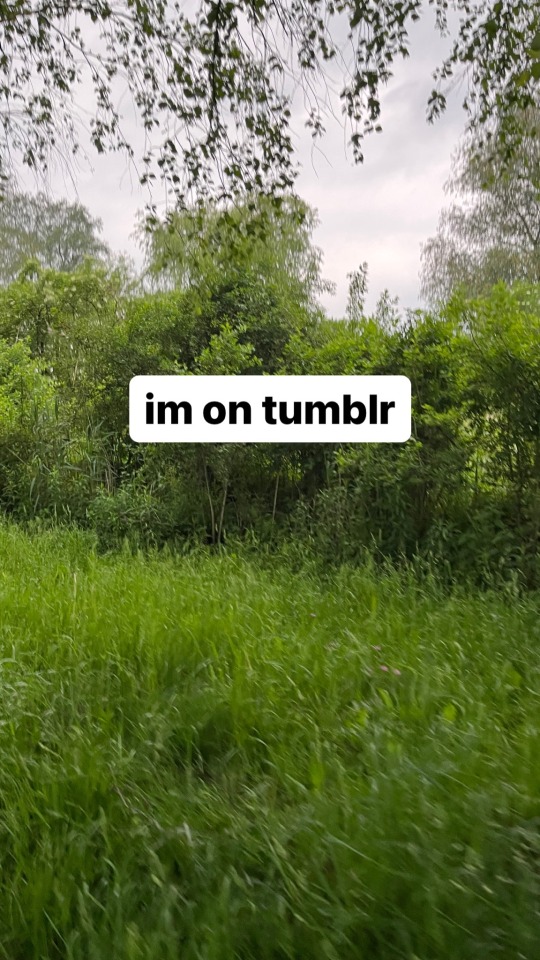 Tumblr media