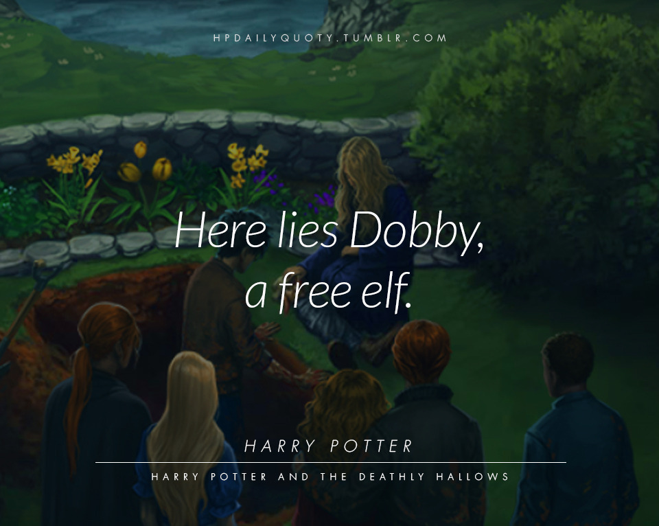 Daily Quotes From Harry Potter S World