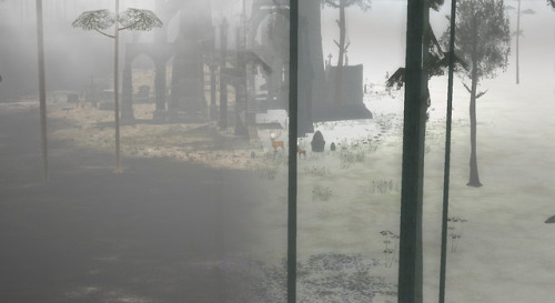  The atmosphere in The Endless Forest can now be changed according to time of day and weather in the