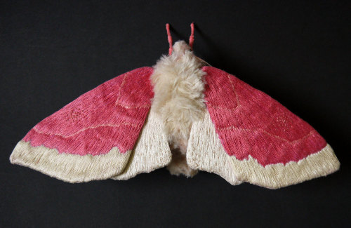 wnq-writers: Textile Moth and Butterfly Sculptures by Yumi Okita North Carolina-based artist Yumi Ok