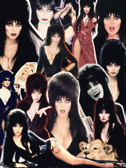 Omg The Fabulous Elvira!
