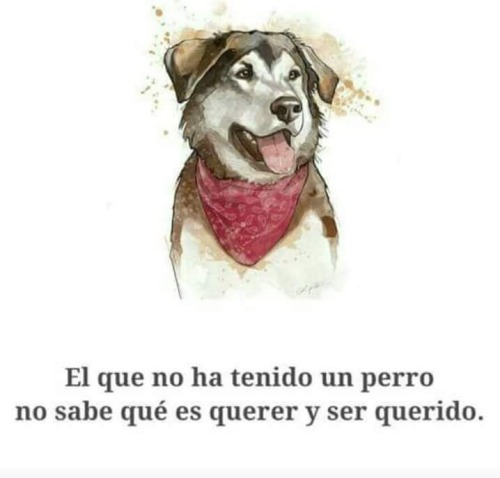 Con Ellos Aprendemos La Reciprocidad De Amar Y Ser Fieles,compartir Momentos Hermosos Y Estar A Su Lado