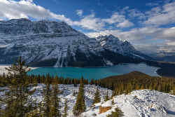 etherealvistas:  Peyto (Canada) by   Jeff Wiz || Website 