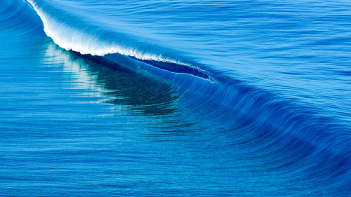 ponderation:French Polynesia by Tim Mckenna Photography 