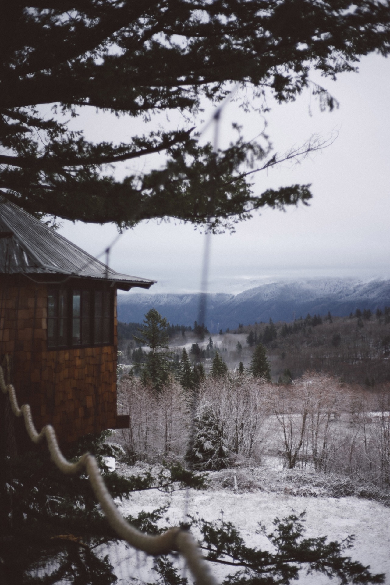 thecindercone:  Waking up with an inch of snow ❄️ on the ground.  Happy frickin