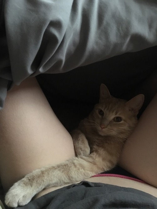 What is personal space?