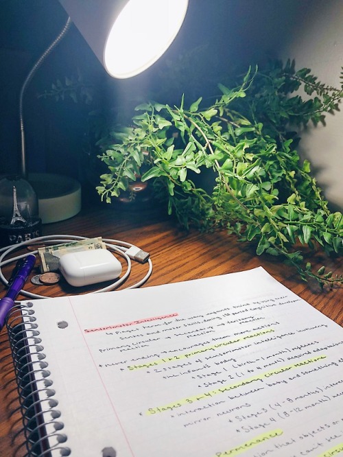 blueesilk:Welcome! I decided to come back and start doing my studyblr again! I’ve missed 