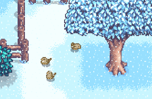 star-droplets-blog1:The cold doesn’t bother these little birds.