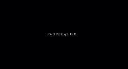 The Tree of Life (2011) dir. Terrence Malick“Light