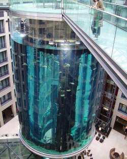 givemeinternet:  Aquarium elevator. Berlin