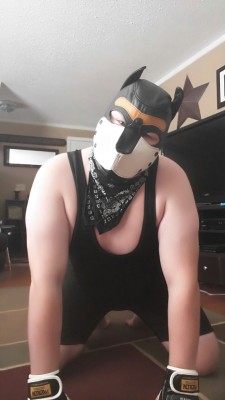 puprocket84:  pupthumper:  Found my singlet. Some other pup pics and a few baby pup ones as well :3  Woof! Nose boops! 🐶😘 