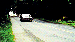  Dad wants us to pick up where he left off: saving people, hunting things. The family
