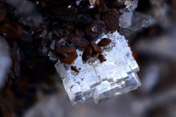 underthescopemin:  Baryte Collection and photograph Juan Miguel.