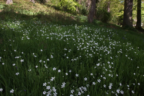 naturalxcauses:visit my page for more nature