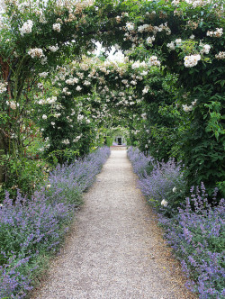 allthingseurope:  Egeskov Castle, Denmark