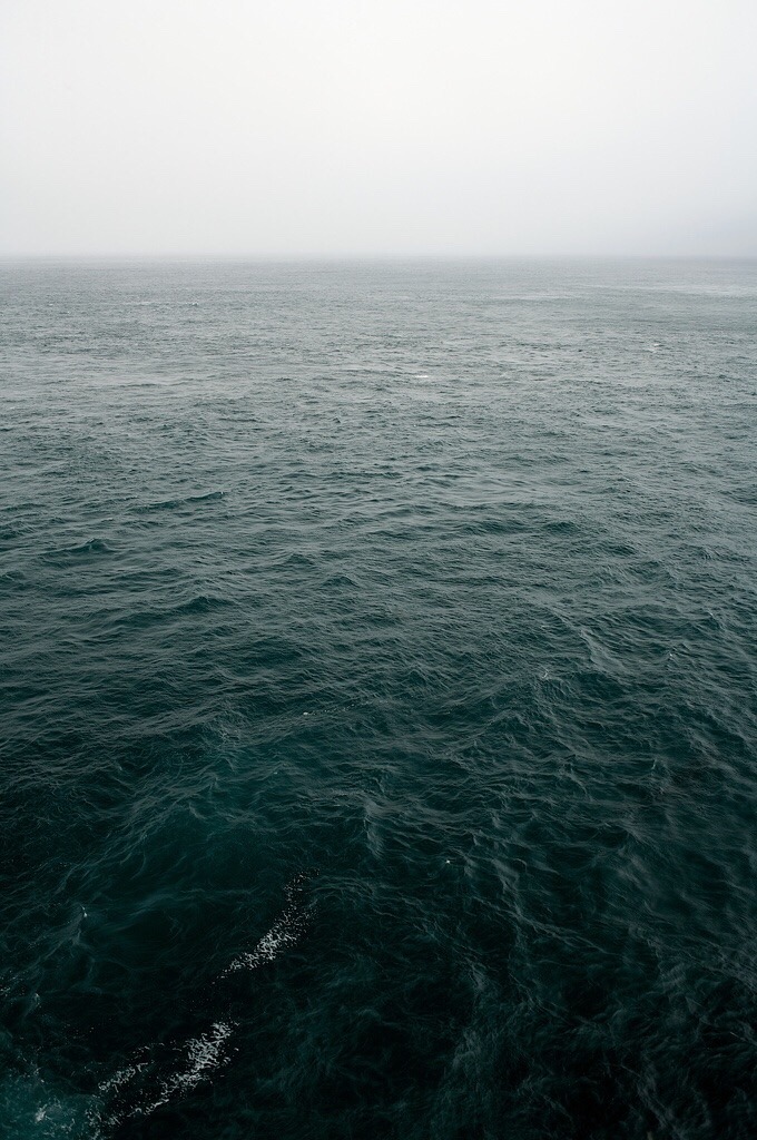 nightoesphere:  .◦❀◦.