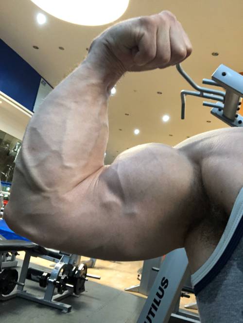 https://64.media.tumblr.com/42e432d56a87d4723a55b49cd77e3f65/cff5f83cad69c9d1-e5/s500x750/1e8962c31bcc78895f9ebd3e2b374116f27b63b3.jpg