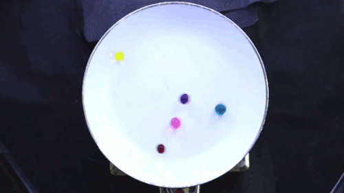 fuckyeahfluiddynamics:  Drop some hydrogel beads in a hot frying pan and they’ll bounce, hiss, and screech. Normally, if you drop a ball, it bounces to ever smaller heights until it comes to rest. In contrast, on a hot surface the hydrogel can bounce