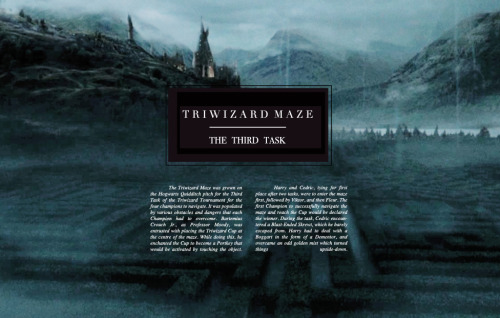 vincere-semper:  Hogwarts: A History + The Triwizard Tournament   “Eternal glory! That’s what awaits the student who wins the Triwizard Tournament, but to do this, that student must survive three tasks. Three extremely dangerous tasks.” 