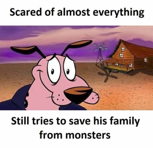 The bravest of dogs