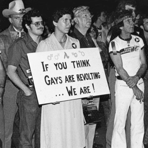 actualnymph:“IF YOU THINK GAYS ARE REVOLTING … WE ARE!,” rally against police harassment, Houston, T