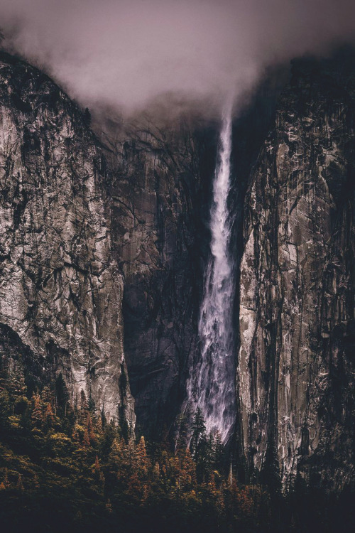 banshy: Yosemite National Park // Jude Allen