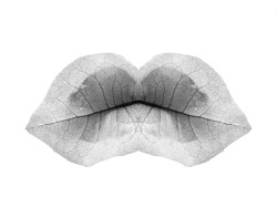lensblr-network:  Petal Lips  by Francesca