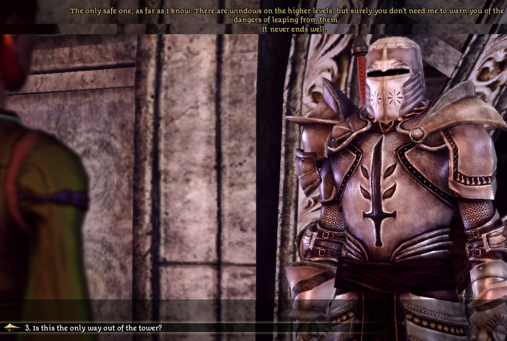 About to beat the game on my elven arcane warrior mage (first image) and  the second warden will be my new PT after the mage. : r/DragonageOrigins