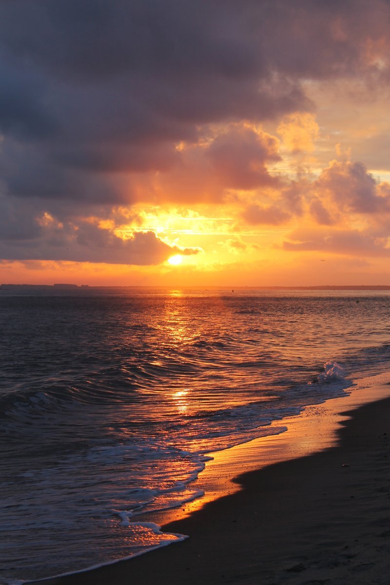 Kingdom Of The Ocean