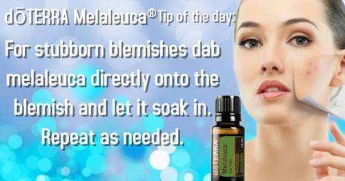 dōTERRA Melaleuca is best known for its purifying properties. It can be used to cleanse and purify t