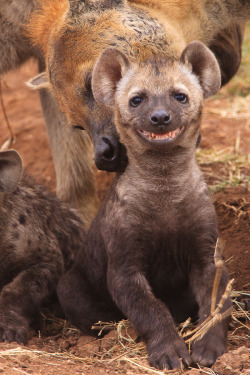 The-Absolute-Best-Photography:  Earthandanimalsay Cheese!  Photo By Chris Gamel