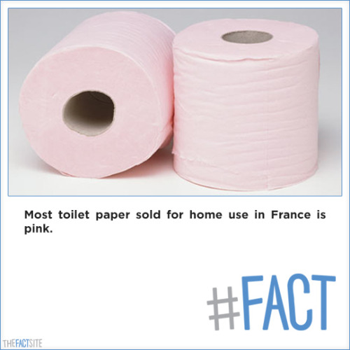 Ripley's Believe It or Not! on X: Most toilet paper sold for home use in  France is pink.  / X