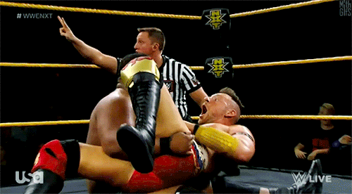 I Was A Little Surprised The Ring Didnt Collapse Under The Combined Weight Of Lee, Dijakovic, And Their