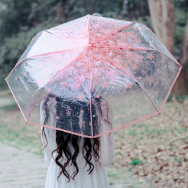 planetarian: cherry blossom umbrella || discount code: tumblr-Feb04