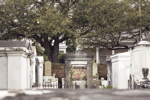 Lafayette Cemetery in New Orleans