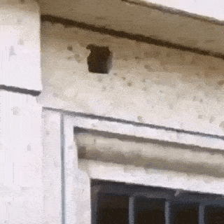 savagebeastrecords:  Installing the latest surveillance technology 