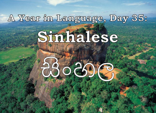 ayearinlanguage: A Year in Language, Day 35: Sinhalese Sinhalese is one of three languages with offi