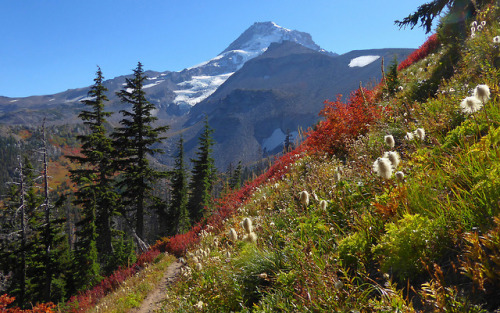 Magical views appear as one approaches Elk Cove by kepPNW